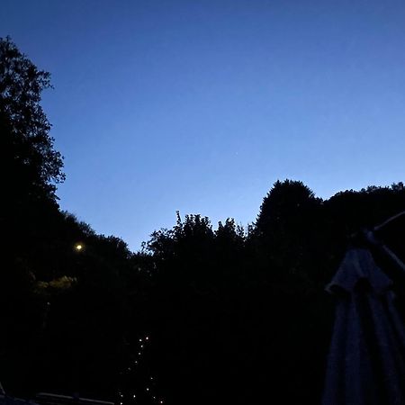 Deni'S Ferienwohnungen Klotten Dış mekan fotoğraf