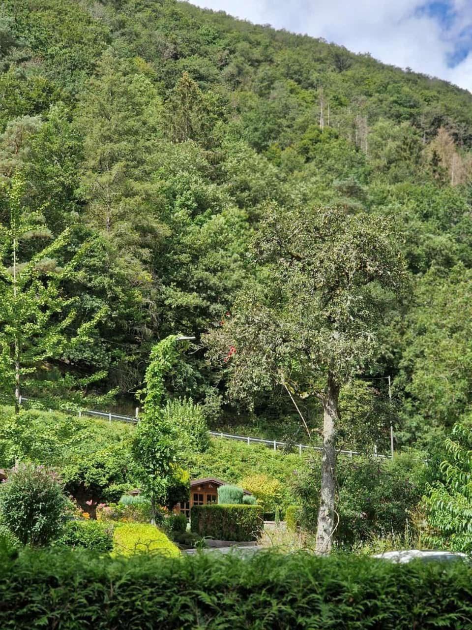 Deni'S Ferienwohnungen Klotten Dış mekan fotoğraf