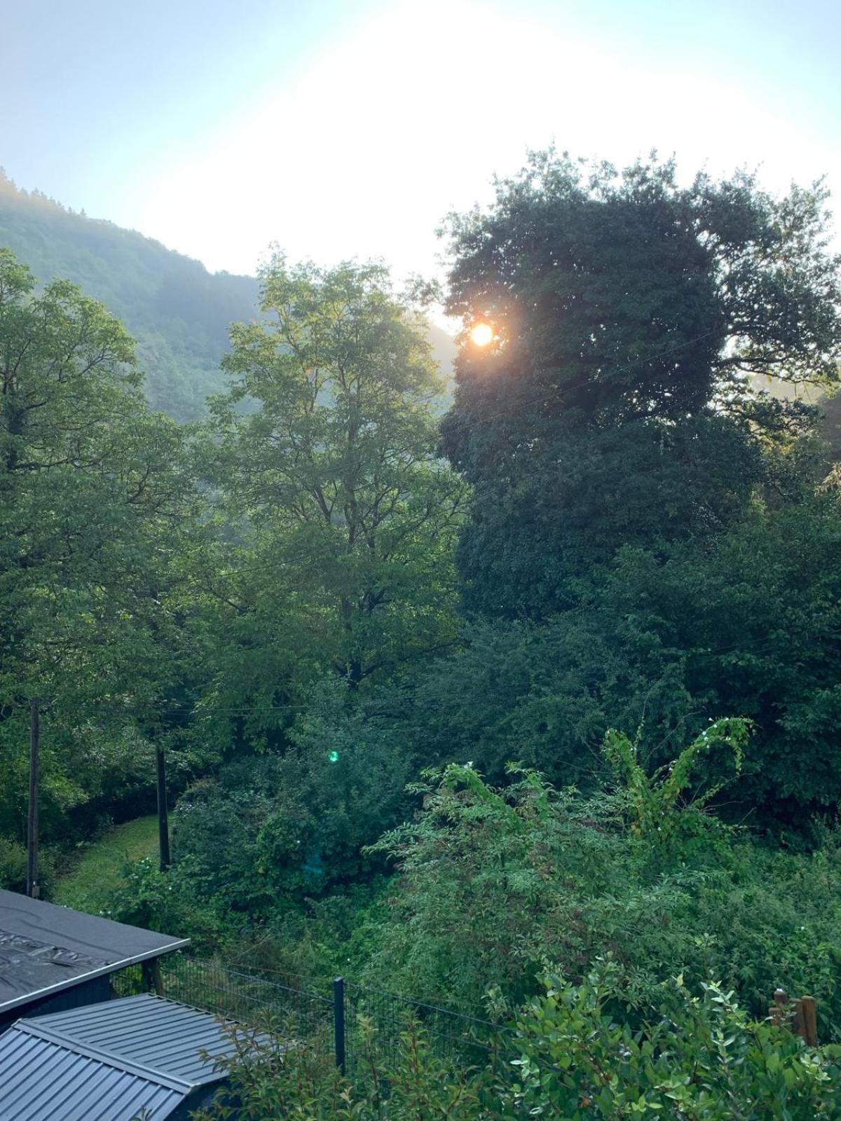 Deni'S Ferienwohnungen Klotten Dış mekan fotoğraf