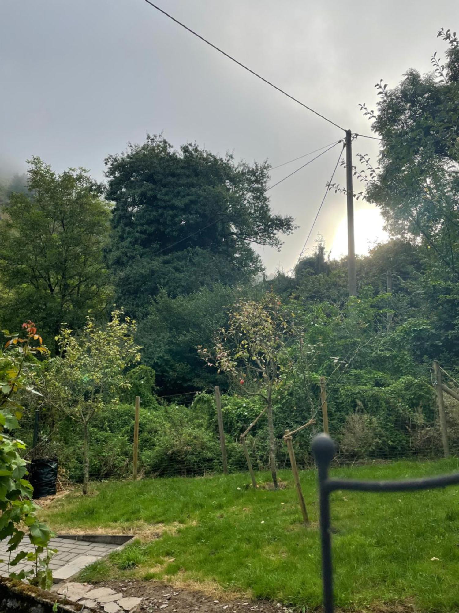 Deni'S Ferienwohnungen Klotten Dış mekan fotoğraf